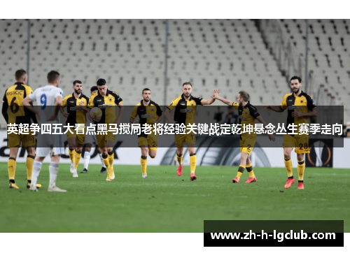 英超争四五大看点黑马搅局老将经验关键战定乾坤悬念丛生赛季走向